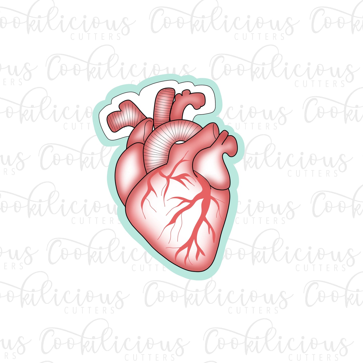 Anatomical Heart