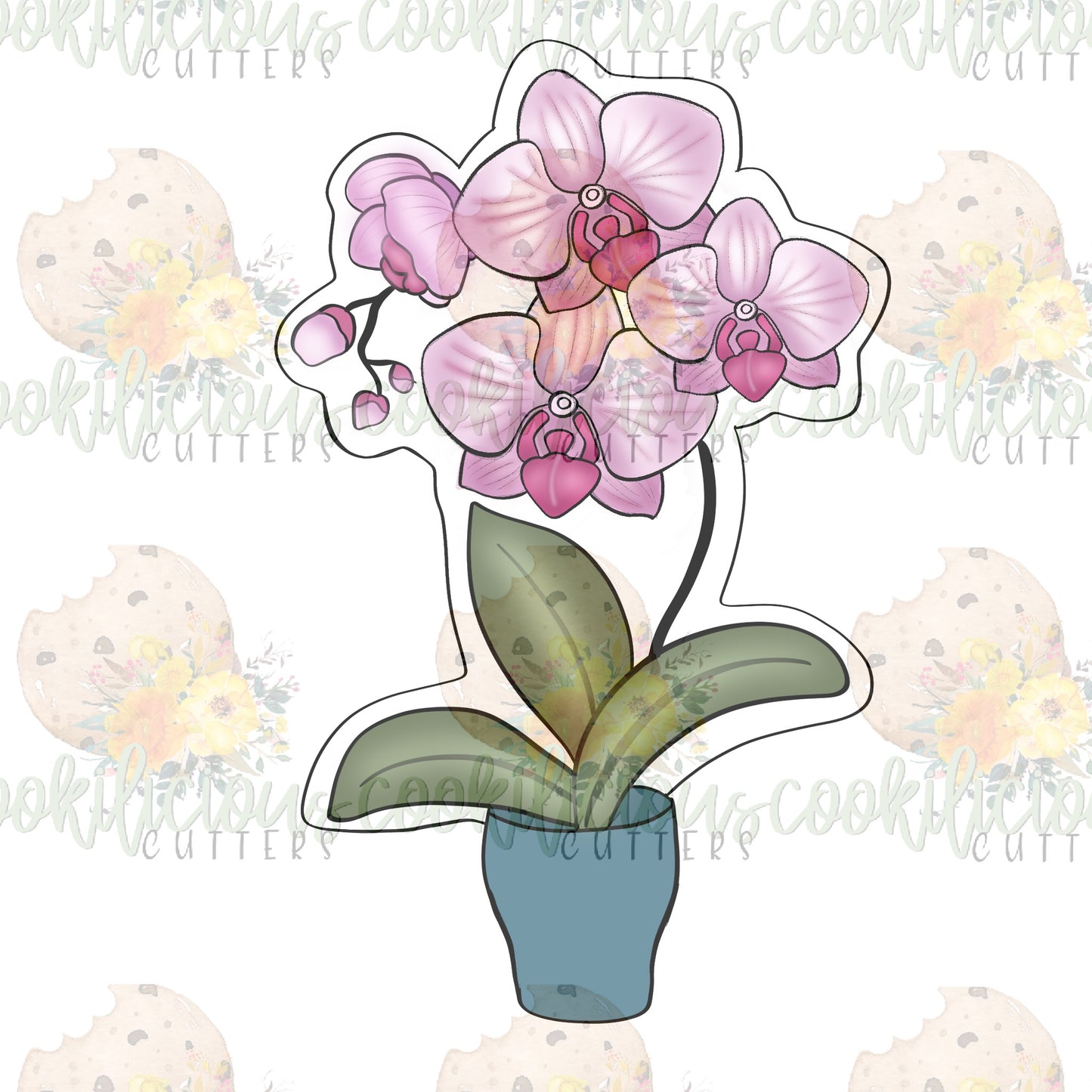 Orchid Plant