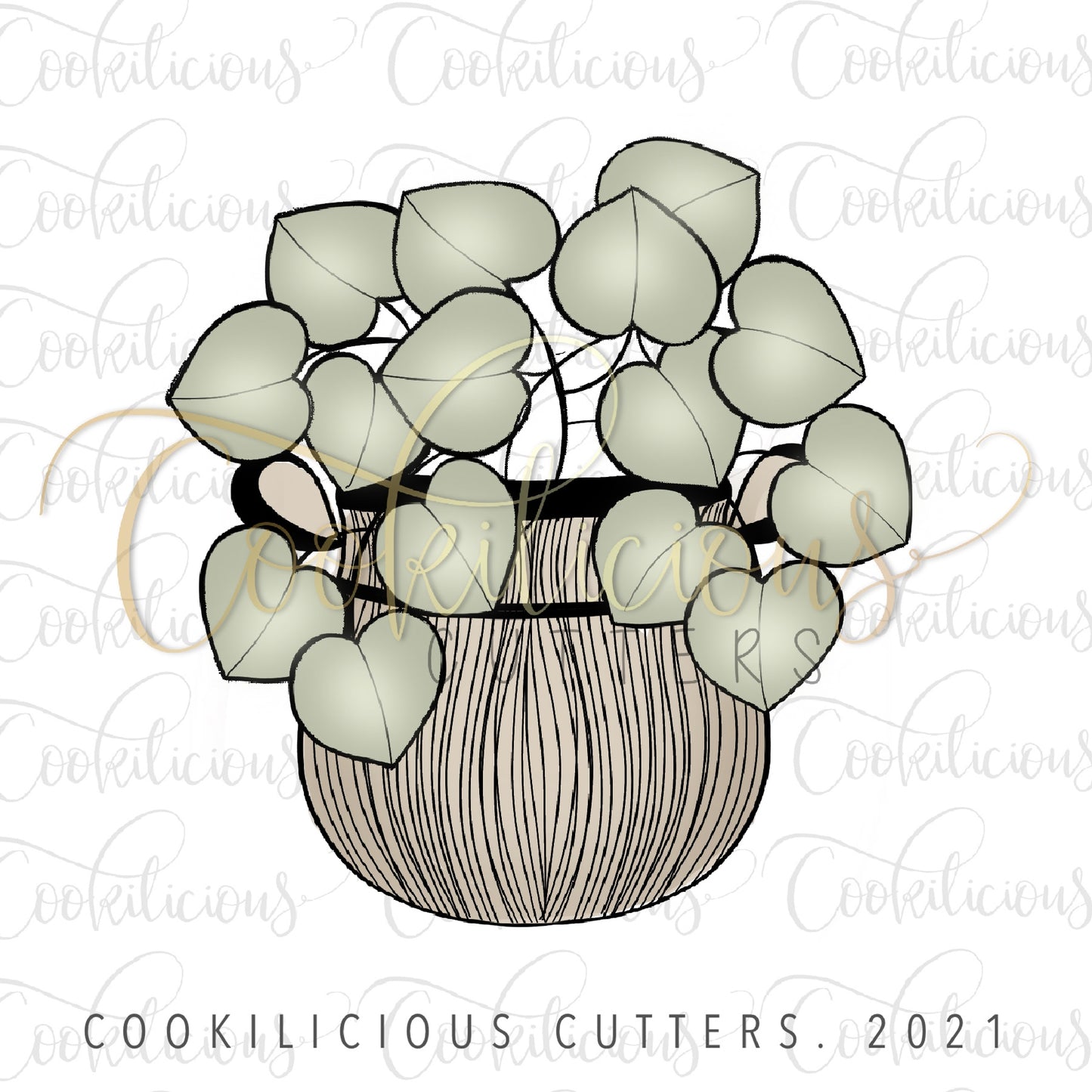 Succulent 02