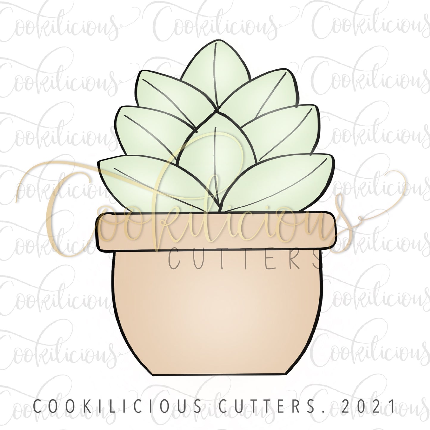 Succulent 04