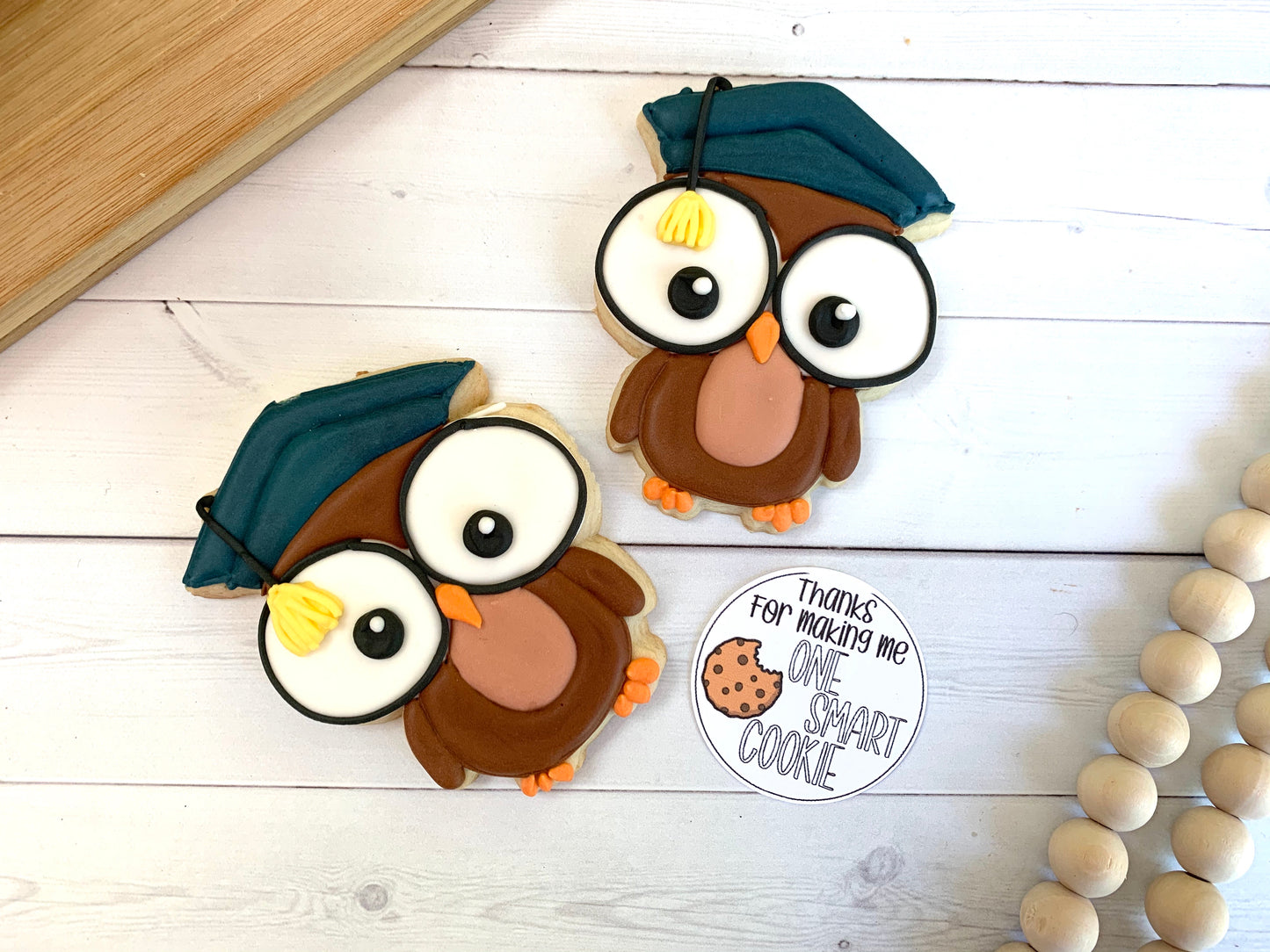 Owl Graduate