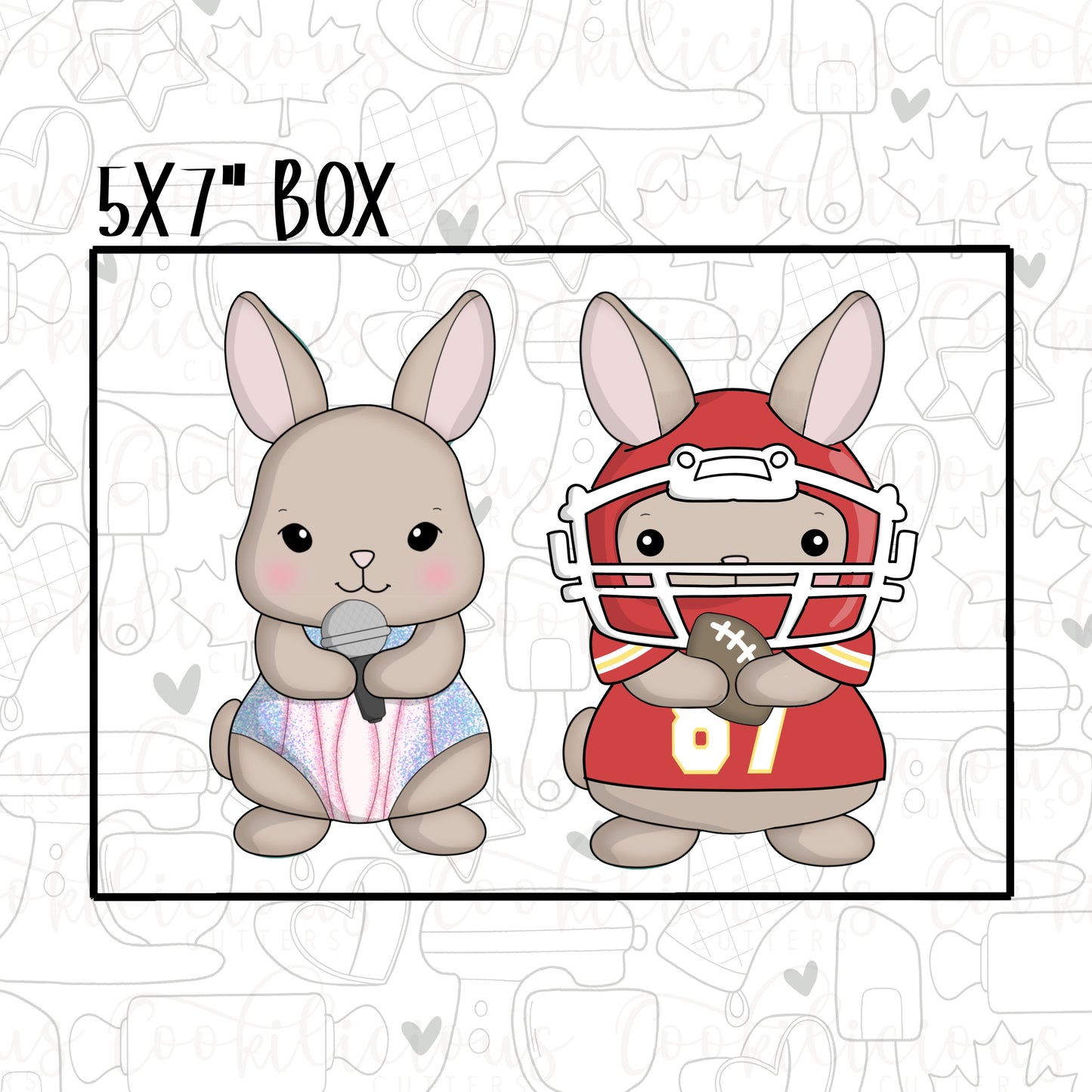 Singing Bunny Set