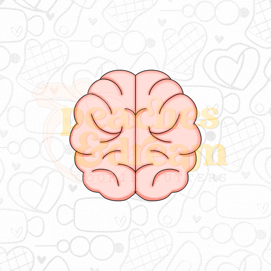 STL - BRAIN