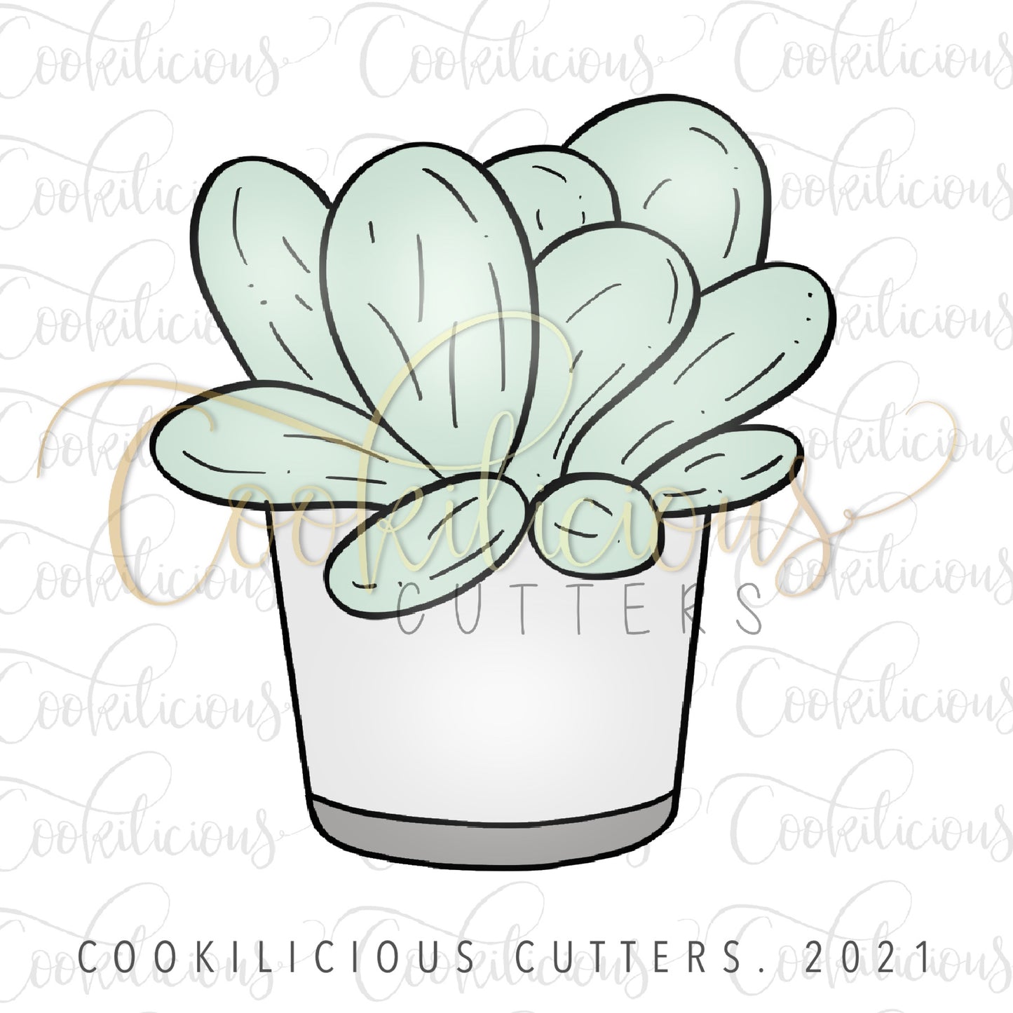 Succulent 03