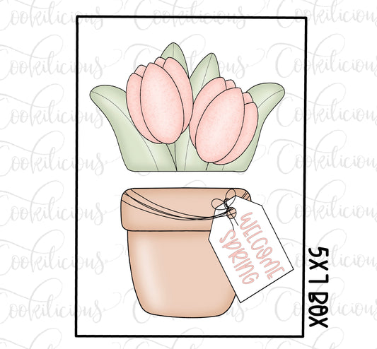Potted Tulip Set